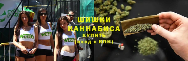 трава Бородино