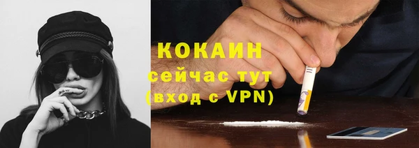 трава Бородино