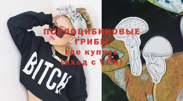 трава Бородино