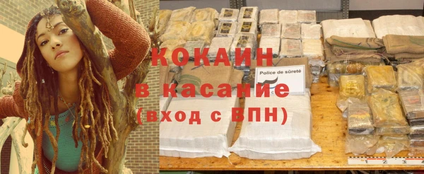 трава Бородино