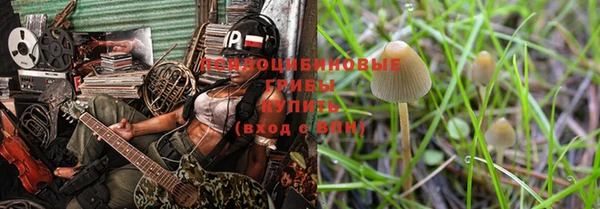 трава Бородино