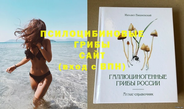винт Бронницы