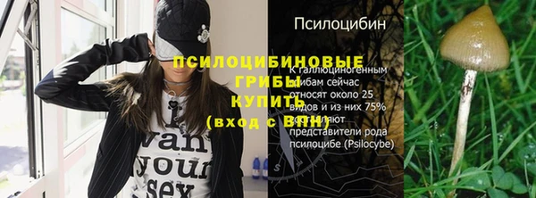 винт Бронницы